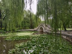 -洛阳市隋唐城遗址植物园