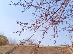 -倒盏民俗文化村