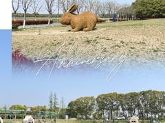 -嘉北郊野公园