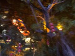 -东江渔村·古典园林·30年粤菜老字号(太和店)