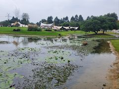-夏河溪乡野公园