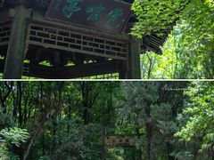 -天朝元辅-徐州民俗博物馆