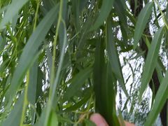 -杭百味·大众精选杭帮菜(西湖音乐喷泉店)