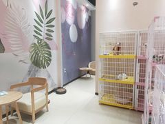 -藏猫猫咖啡主题馆(中央大道店)