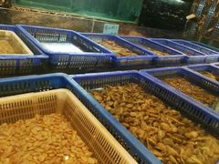 -彩虹坊火锅(宁穿路店)