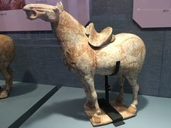 -南越王博物院(王宫展区)