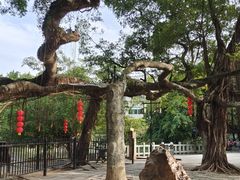 -小洲村