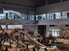 -自贡恐龙博物馆