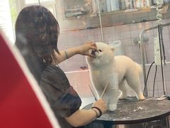 -FAELING PETS美天灵宠物(富力广场店)