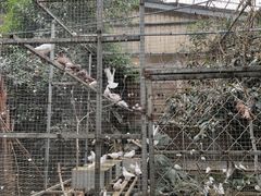 -呀路古热带植物园