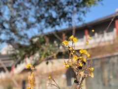 -南京市江宁方山