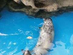 -华夏文旅海洋公园