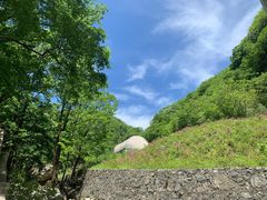 -牛背梁国家森林公园