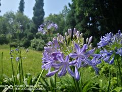 -重庆雨台山风景区