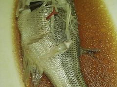 清蒸鲈鱼-黑鸡小馆(金源店)