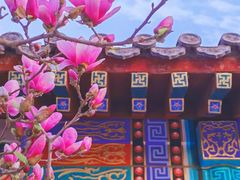 -丰台花园