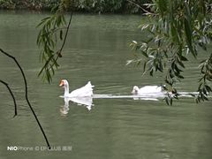-宗角禄康公园