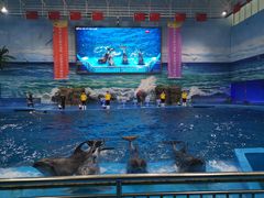 -多彩贵州城极地海洋世界