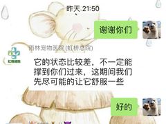 -雨林宠物医院 非犬猫异宠专科