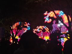 -映月湖公园