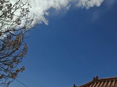 -姥家大锅台水库渔家