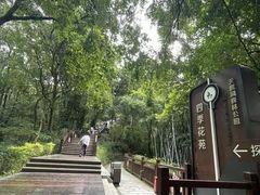 -天鹿湖森林公园