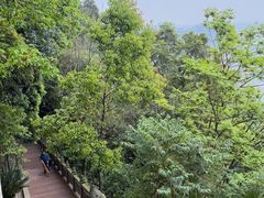 -乐山大佛风景名胜区乌尤寺南门-售票点