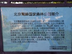 -北京鹫峰国家森林公园