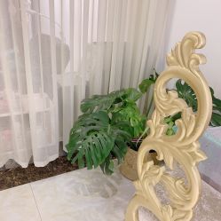 -US•美甲艺术 | 冕光