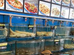 水产区-渔中舟海鲜大排档(普陀沈家门店)