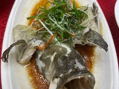 -湛江渔港·大排档(乐园路总店)