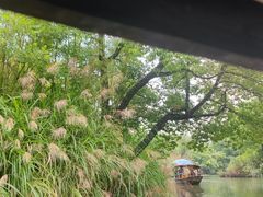 -西溪国家湿地公园