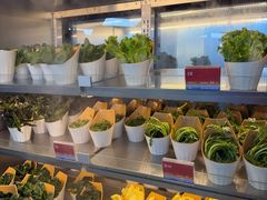 -海底捞大排档火锅(打浦路店)