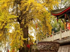 -金堂县云顶石城风景区