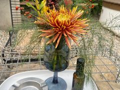 -自由生长植物工作室(深港花卉中心店)