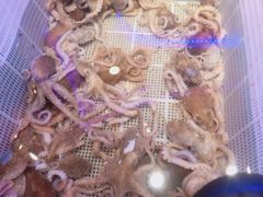 -澜悦港海鲜体验主题餐厅