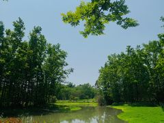 -桤木河湿地公园