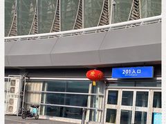 -奥体中心游泳馆