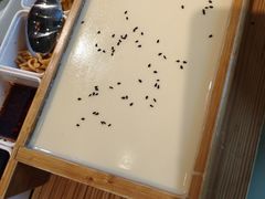 -皖小斌·小葱伴豆腐(丰收路店)