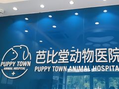 -芭比堂动物医院·CT·微创中心(新顺分院)