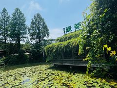 -绿茶餐厅(龙井船宴· 品牌总店)
