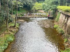 -五泄景区