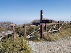 -阳台山自然风景区