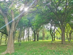 -福建鲤鱼洲酒店