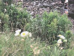 -北仑森林植物园