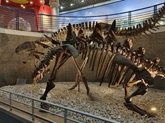 -国家自然博物馆