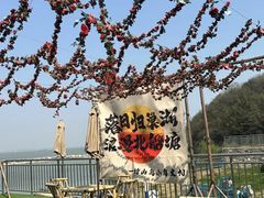 -巢湖姥山岛