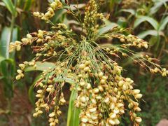 -蟠龙山长城景区