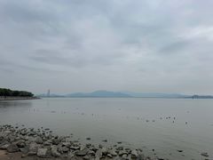 -深圳湾公园(南山区)