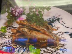 -阳光海鲜城(太仓万达店)